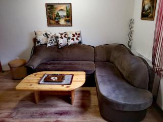 Guesthouse Ramović - Zlatibor - 3