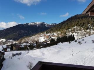 Snowfall Villa - 5
