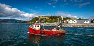 Barry's Bed and Breakfast - Bantry - 2