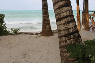Panga Chumvi Beach Resort - Matemwe - 5