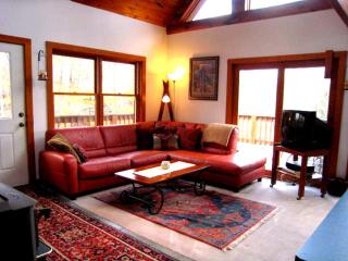 The Catskill Cabin - Elka Park - 9