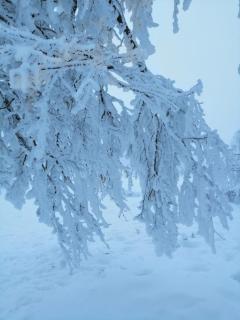 Colț de rai - camera de inchiriat - 5