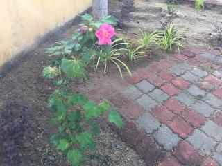 The Garden Vacation Home - Lumut - 1