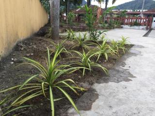 The Garden Vacation Home - Lumut - 2