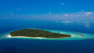 Filitheyo Island Resort - Filitheyo - 3