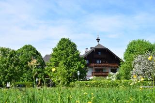 Seehotel Huber - Sankt Gilgen - 5