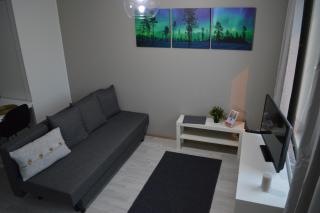 Aurora Haven Rovaniemi Modern Studio Apartment -Self Check-In & Free Wifi- - Rovaniemi - 0
