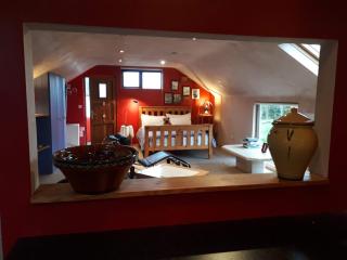 The Village Studio Apartments - Moate - 5
