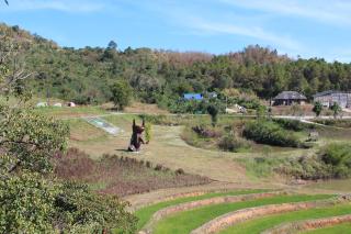 Phuphet Hill Resort - Phu Rua - 4