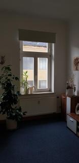 FeWo im Herzen Reichenbachs - Reichenbach im Vogtland - 1