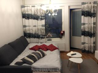 Cozy Paroni - Rovaniemi - 7