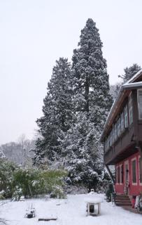 Gîte "Cadichon" - Munster - 1