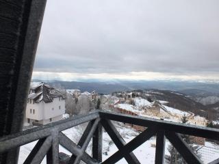 Apartman "Živković" - Kopaonik - 1