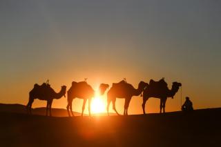 Starry Desert Nights Camp - Merzouga - 3