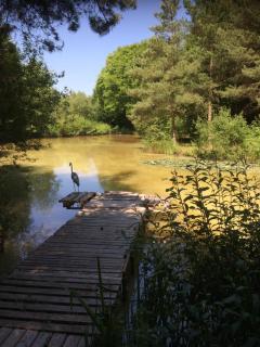 The Firs - Ashford - 3