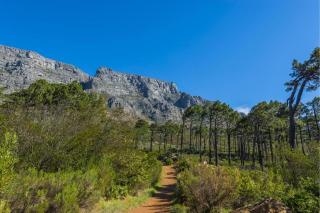20 belladonna avenue Vredehoek Cape town - Vredehoek - 4