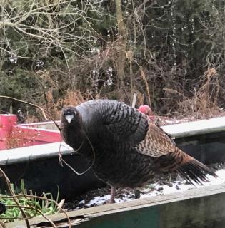 Our Valley View Bed & Breakfast - 3