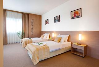 Hotel Knezevina - Vranić - 9