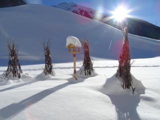 Apart Tyrol - Umhausen - 2