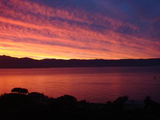 Le Parc Impérial - Ajaccio - 1