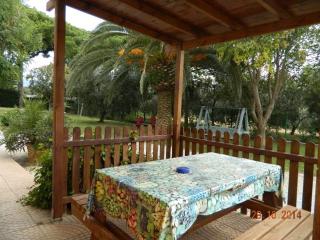 Podere Santo Signoretto - San Vincenzo - 9
