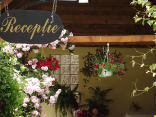 Vila Fortuna - Art O'Clock - 4