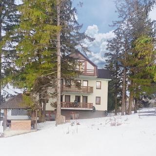4 Seasons Vlašić Lux Apartments - Vlasic - 9
