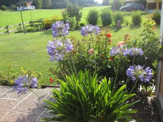 Gästehaus Stroitz - 4