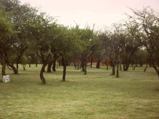 La Urdimbre - Cortaderas - 7