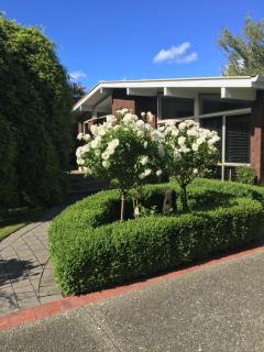 Quiet Boutique Generous Breakfast - Palmerston North - 3