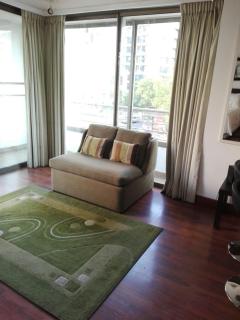 Austral Rentahome Barros Borgoño - Santiago - 5