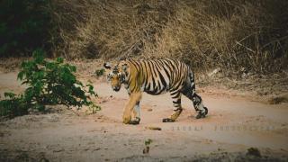 Kabini Lake View Resort - Begūr - 1