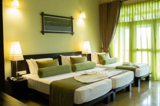 Oak Ray Wild Yala - 2