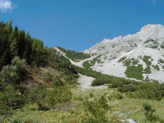 Haus Latschenheim - 1