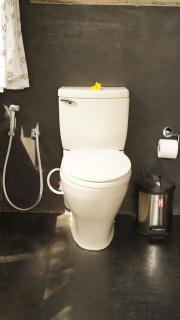 SpiceTree Chinnar - Dhali - 7