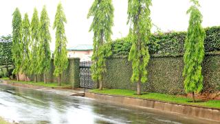 Avon Apartments - Lilongwe - 1