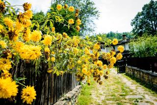 Strannopriemnitsa Guest House - Bozhentsi - 5
