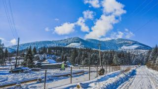 12 Months Estate - 6