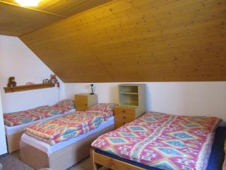 Apartment Dvořáků - Janske Lazne - 3
