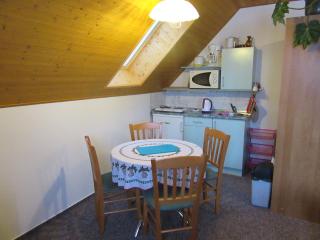 Apartment Dvořáků - Janske Lazne - 4