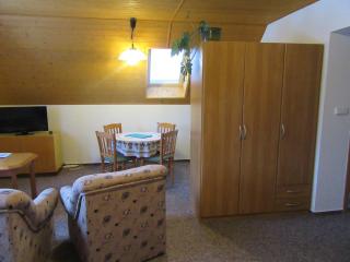 Apartment Dvořáků - Janske Lazne - 6