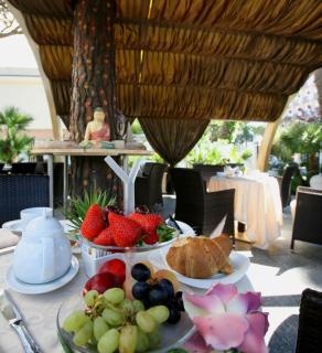 Hotel Alexander - Milano Marittima - 4