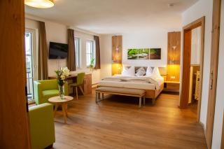 Hotel Irmgard - Strass im Attergau - 4