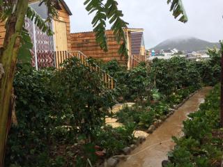 Khu vườn Tháng 9 - Dalat September Garden Homestay - Dalat - 5