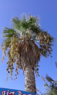 Appartamento Guitgia - Lampedusa - 4