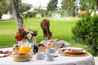 Monteverde Boutique Hotel - 1