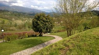 La Collina dei Franchi - Camporgiano - 5