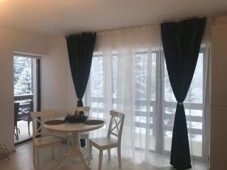 Studio 16 Predeal - Predeal - 7