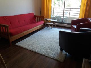 Departamento Pucon - Pucón - 2