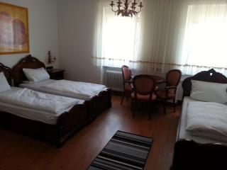 Hotel Dorfschenke - Pirmasens - 5